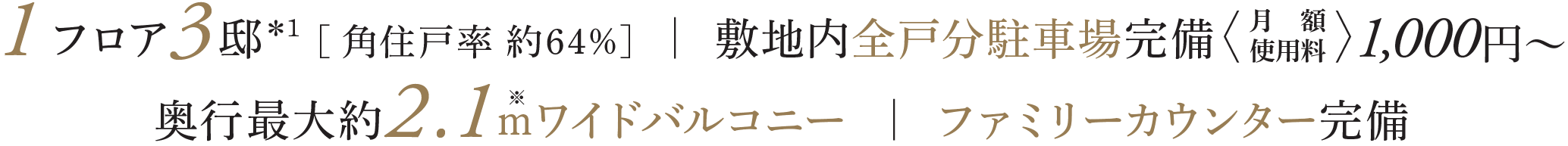 1フロア3邸＊1 [角住戸率 約６４％] 敷地内全戸分駐車場完備 奥行最大約2.1ｍワイドバルコニー ファミリーカウンター完備