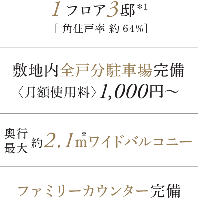 1フロア3邸＊1 [角住戸率 約６４％] 敷地内全戸分駐車場完備 奥行最大約2.1ｍワイドバルコニー ファミリーカウンター完備