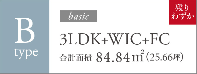 B type