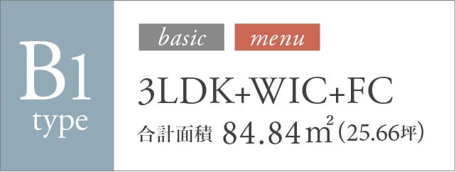 B1 type